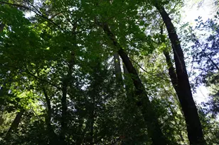 187 Riverview Ln, Twain, CA 95984 - Photo 16