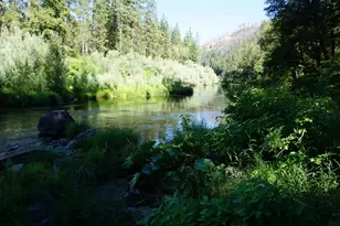 187 Riverview Ln, Twain, CA 95984 - Photo 26