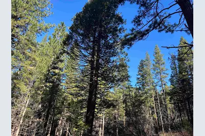 6049 Genesee Road, Genesee, CA 95983 - Photo 2