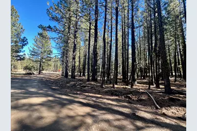 71849 Carrie Court Trail, Delleker, CA 96122 - Photo 8