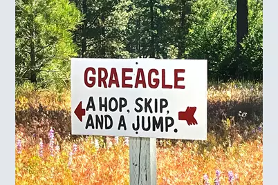 71849 Carrie Court Trail, Delleker, CA 96122 - Photo 28