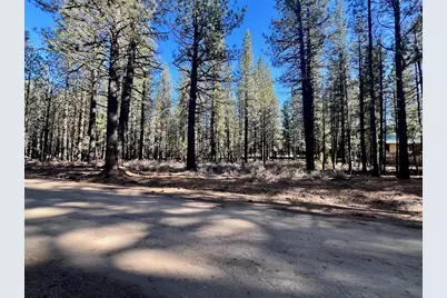 71849 Carrie Court Trail, Delleker, CA 96122 - Photo 6