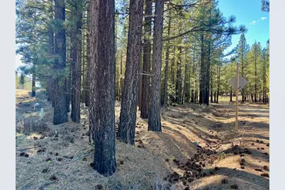 71849 Carrie Court Trail, Delleker, CA 96122 - Photo 12