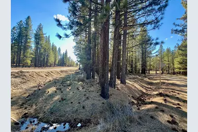 71849 Carrie Court Trail, Delleker, CA 96122 - Photo 1