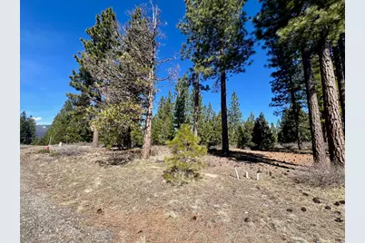 1040 Startop, Portola, CA 96122 - Photo 6