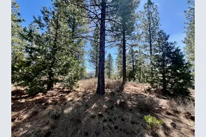 1040 Startop, Portola, CA 96122 - Photo 12