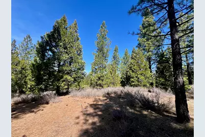 1040 Startop, Portola, CA 96122 - Photo 14