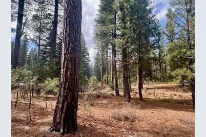 856 Prospector Drive, Clio, CA 96106 - Photo 12