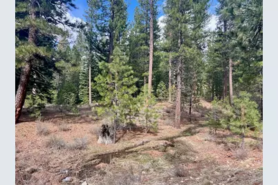 856 Prospector Drive, Clio, CA 96106 - Photo 18