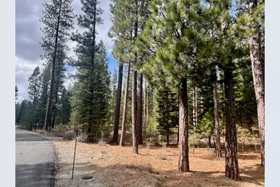 856 Prospector Drive, Clio, CA 96106 - Photo 8