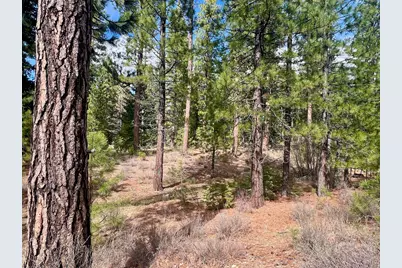 856 Prospector Drive, Clio, CA 96106 - Photo 6