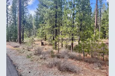 856 Prospector Drive, Clio, CA 96106 - Photo 16
