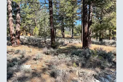 16 Big Grizzly, Portola, CA 96122 - Photo 2