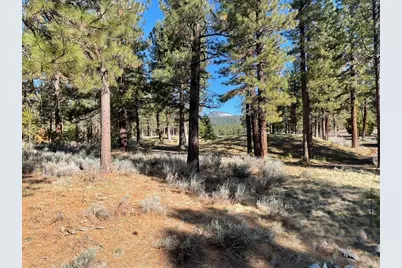 16 Big Grizzly, Portola, CA 96122 - Photo 1