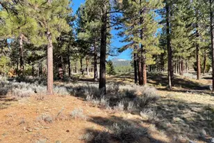 16 Big Grizzly, Portola, CA 96122 - Photo 1