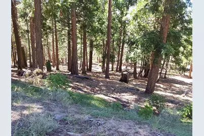 5028 Harvest Moon #18, Portola, CA 96122 - Photo 34