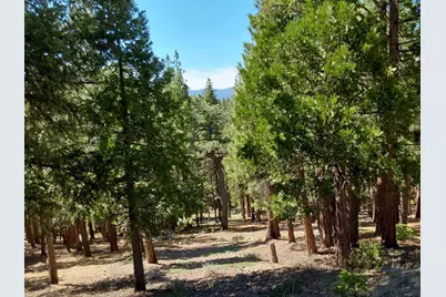 5028 Harvest Moon #18, Portola, CA 96122 - Photo 18
