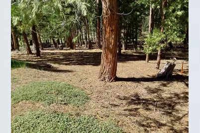 5028 Harvest Moon #18, Portola, CA 96122 - Photo 12