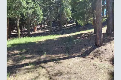 5028 Harvest Moon #18, Portola, CA 96122 - Photo 40