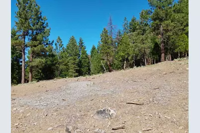 5028 Harvest Moon #18, Portola, CA 96122 - Photo 28