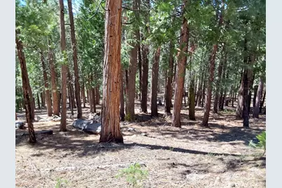 5028 Harvest Moon #18, Portola, CA 96122 - Photo 32