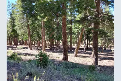 5028 Harvest Moon #18, Portola, CA 96122 - Photo 36