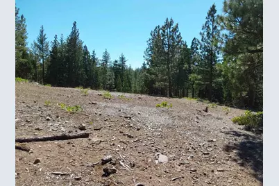 5028 Harvest Moon #18, Portola, CA 96122 - Photo 22