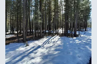 511 Deer Trail #1, Portola, CA 96122 - Photo 16