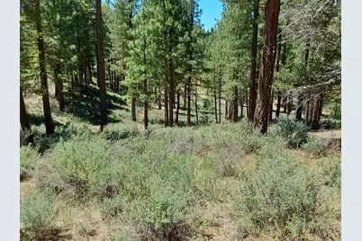 597 Deer Trail #1, Portola, CA 96122 - Photo 24