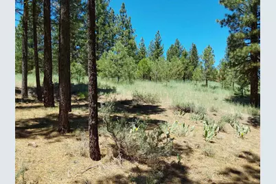 597 Deer Trail #1, Portola, CA 96122 - Photo 26