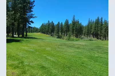 597 Deer Trail #1, Portola, CA 96122 - Photo 14