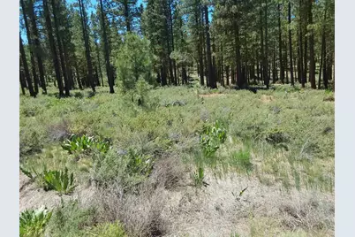 295 Deer Trail #1 P2, Portola, CA 96122 - Photo 22