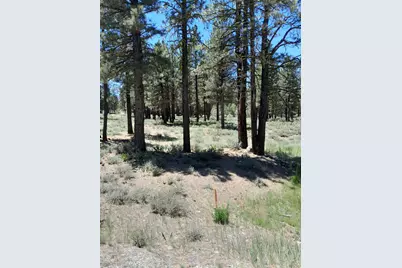 295 Deer Trail #1 P2, Portola, CA 96122 - Photo 6