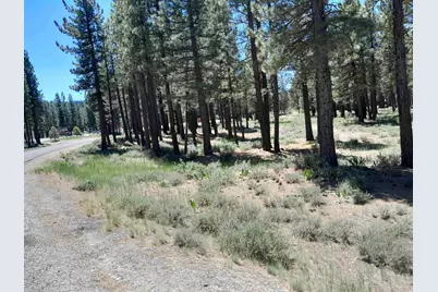 295 Deer Trail #1 P2, Portola, CA 96122 - Photo 4