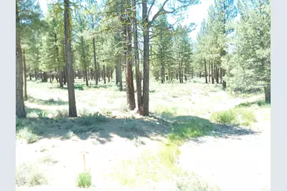 295 Deer Trail #1 P2, Portola, CA 96122 - Photo 10