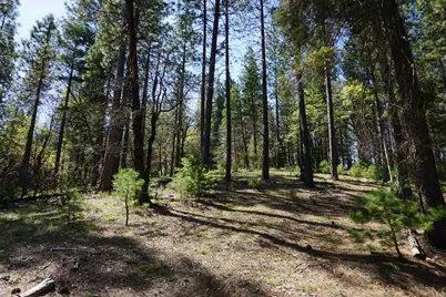 114 Quincy La Porte Road, Quincy, CA 95971 - Photo 10