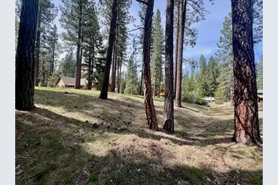 325 Eureka Springs Drive, Blairsden, CA 96103 - Photo 10