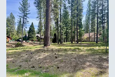 325 Eureka Springs Drive, Blairsden, CA 96103 - Photo 1