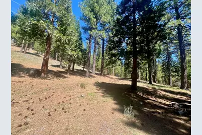 69867 Woodside Drive, Blairsden, CA 96103 - Photo 6