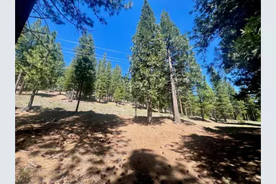 69867 Woodside Drive, Blairsden, CA 96103 - Photo 10