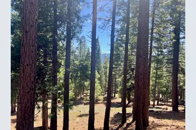 69867 Woodside Drive, Blairsden, CA 96103 - Photo 26