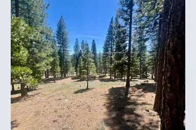 69867 Woodside Drive, Blairsden, CA 96103 - Photo 2