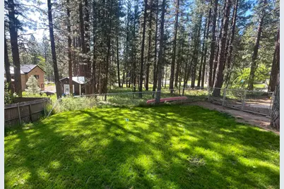 302 Mountain View Road #2, Calpine, CA 96124 - Photo 24