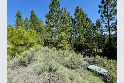 684 Startop, Portola, CA 96122 - Photo 6