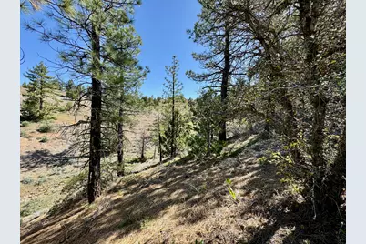 492 Clouds Rest, Portola, CA 96122 - Photo 14