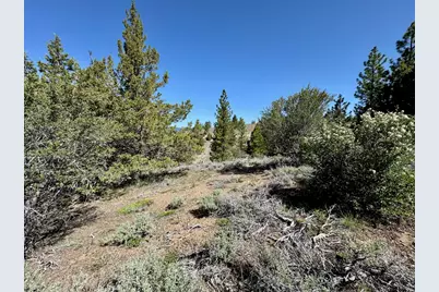 492 Clouds Rest, Portola, CA 96122 - Photo 12