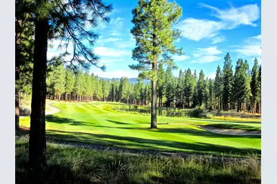 492 Clouds Rest, Portola, CA 96122 - Photo 38