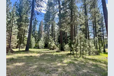 375 Eureka Springs Drive, Blairsden, CA 96103 - Photo 2