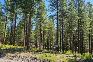 210 Red Hawk, Portola, CA 96122 - Photo 1