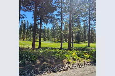 403 Big Grizzly, Portola, CA 96122 - Photo 6